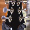 PRS Paul Reed Smith Santana Retro Faded Whale Blue 2018