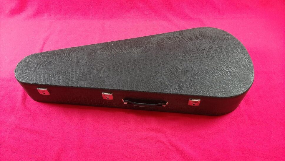 Ibanez AEL20E VV1202 beautiful semiacustic