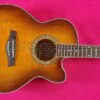 Ibanez AEL20E VV1202 beautiful semiacustic