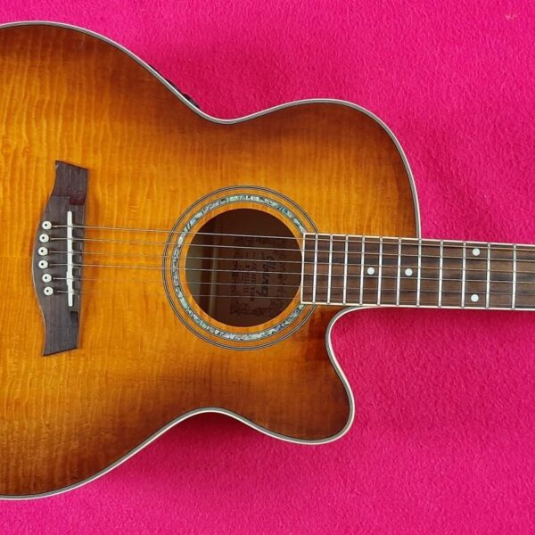Ibanez AEL20E VV1202 beautiful semiacustic