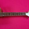 Ibanez AEL20E VV1202 beautiful semiacustic