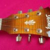 Ibanez AEL20E VV1202 beautiful semiacustic
