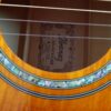 Ibanez AEL20E VV1202 beautiful semiacustic
