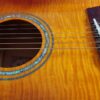 Ibanez AEL20E VV1202 beautiful semiacustic