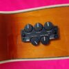 Ibanez AEL20E VV1202 beautiful semiacustic