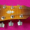 Ibanez AEL20E VV1202 beautiful semiacustic