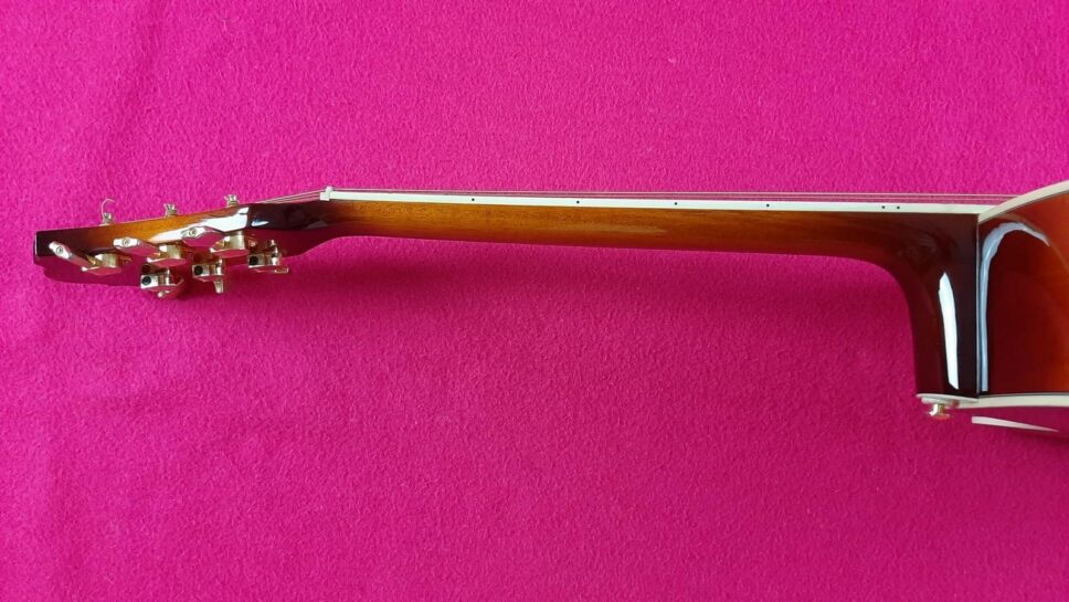 Ibanez AEL20E VV1202 beautiful semiacustic