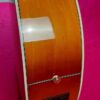 Ibanez AEL20E VV1202 beautiful semiacustic
