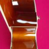 Ibanez AEL20E VV1202 beautiful semiacustic