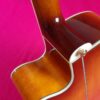 Ibanez AEL20E VV1202 beautiful semiacustic