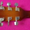 Ibanez AEL20E VV1202 beautiful semiacustic