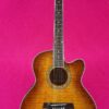 Ibanez AEL20E VV1202 beautiful semiacustic