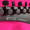 LTD (by ESP) Snakebyte BLKS Satin Black James Hetfield Metallica