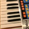 Moog The Source / Serviced/Perfect! with Metal Case!