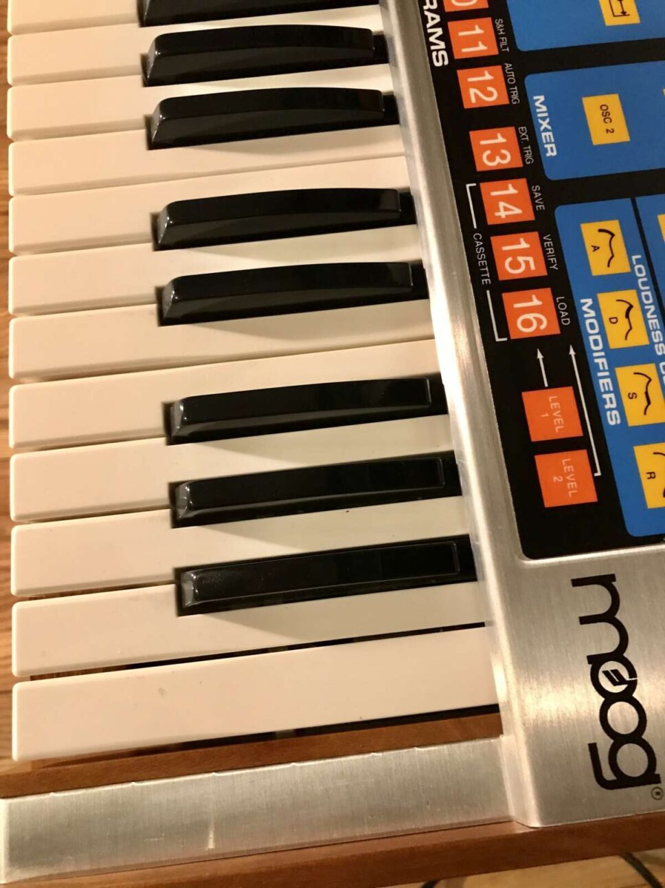 Moog The Source / Serviced/Perfect! with Metal Case!