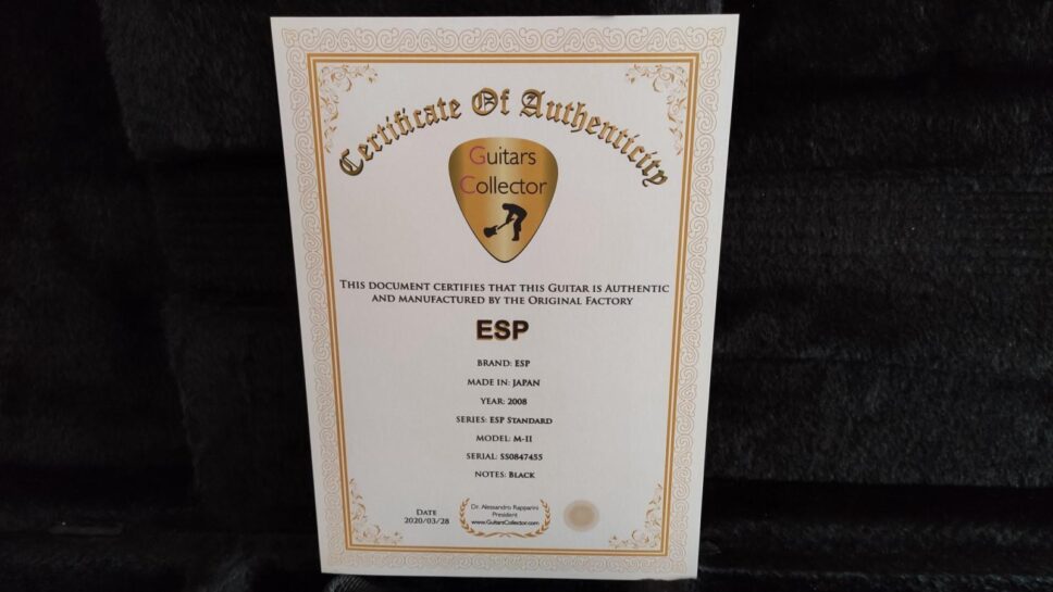 ESP M-II Standard Series Black similar to KH-2 Kirk Hammett