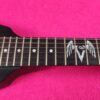LTD (by ESP) Vulture BLKS James Hetfield Metallica Signature