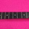 LTD (by ESP) Vulture BLKS James Hetfield Metallica Signature