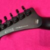 LTD (by ESP) Vulture BLKS James Hetfield Metallica Signature