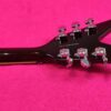 Dean Dimebag Darrell Far Beyond Driven ML