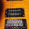 Dean Dimebag Darrell Far Beyond Driven ML