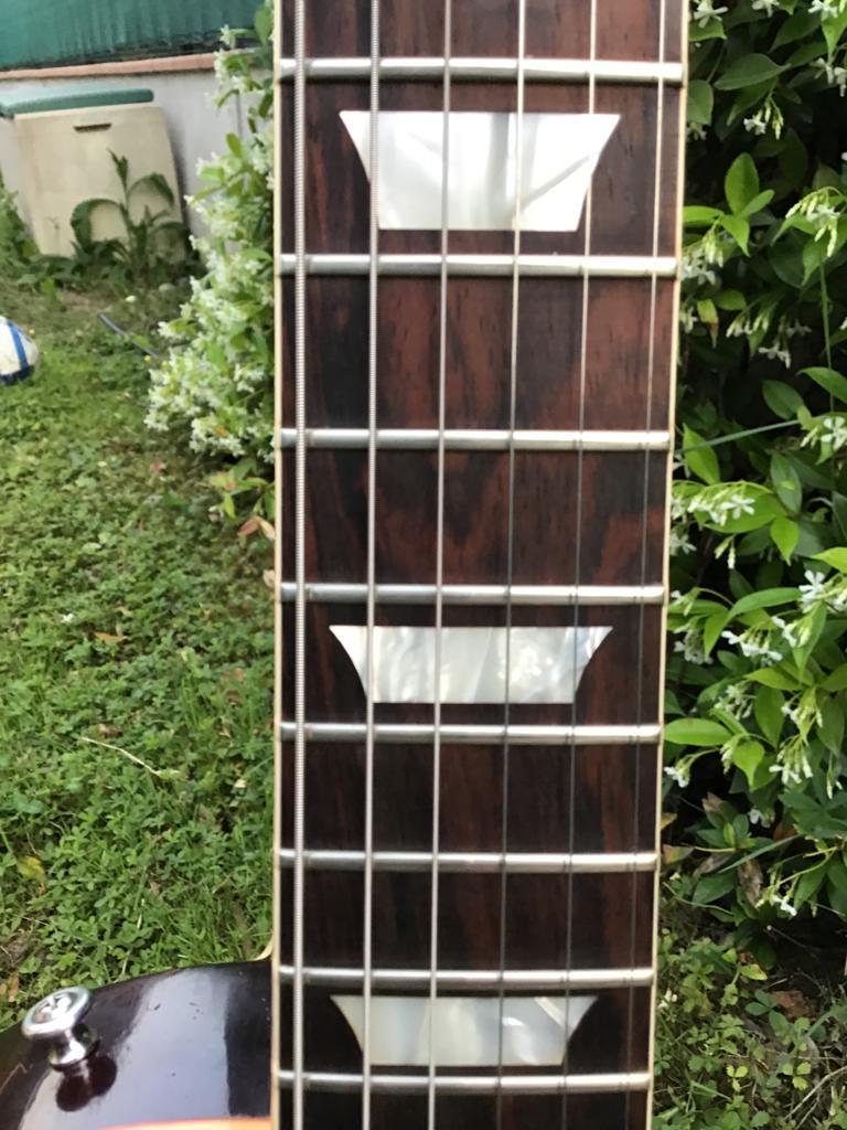 Gibson les Paul ultra aged 1959 true historic BAZILIAN ROSEWOOD BOAR