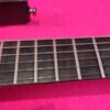 Ibanez RGIT20FE TGF (Transparent Grey Flat)