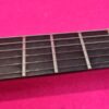 Ibanez RGIT20FE TGF (Transparent Grey Flat)
