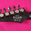 Ibanez RGIT20FE TGF (Transparent Grey Flat)