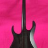 Ibanez RGIT20FE TGF (Transparent Grey Flat)