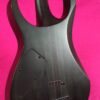 Ibanez RGIT20FE TGF (Transparent Grey Flat)