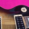 Gibson USA Slash Les Paul Standard 2008