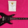 B.C.Rich Bich 10