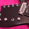 B.C.Rich Bich 10