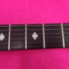 B.C.Rich Bich 10