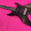 B.C.Rich Bich 10