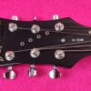 B.C.Rich Bich 10
