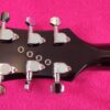 B.C.Rich Bich 10