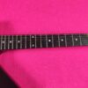 ESP Custom MX-2 MX-250 BLACK James Hetfield Metallica Explorer