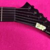 ESP Custom MX-2 MX-250 BLACK James Hetfield Metallica Explorer