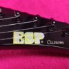 ESP Custom MX-2 MX-250 BLACK James Hetfield Metallica Explorer