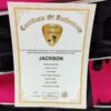 Jackson Randy Rhoads RR1T Made in USA Kirk Hammett Guitar