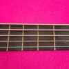 Warwick Rockbass Artist Robert Trujillo 5 AS NEW CONDITIONS Metallica