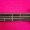 Warwick Rockbass Artist Robert Trujillo 5 AS NEW CONDITIONS Metallica