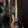 Peavey t40