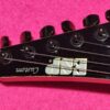 ESP M2 HAMMETT Skull & Crossbones (Metallica) from 1994