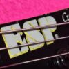 ESP M2 HAMMETT Skull & Crossbones (Metallica) from 1994