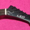 Ltd Vulture James Hetfield signature
