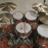 Sleishman Omega Full Maple Drum Set Rock Free Floating 10-12-14-16-22