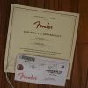 Fender American Professional II Telecaster 2022, OHSC & Paperwork